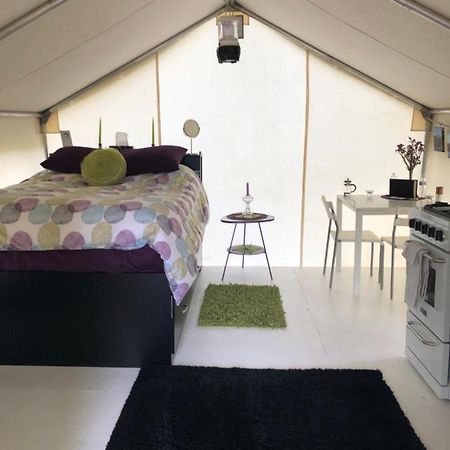 Vines And Puppies Glamping Hideaway Otel Jade City Dış mekan fotoğraf