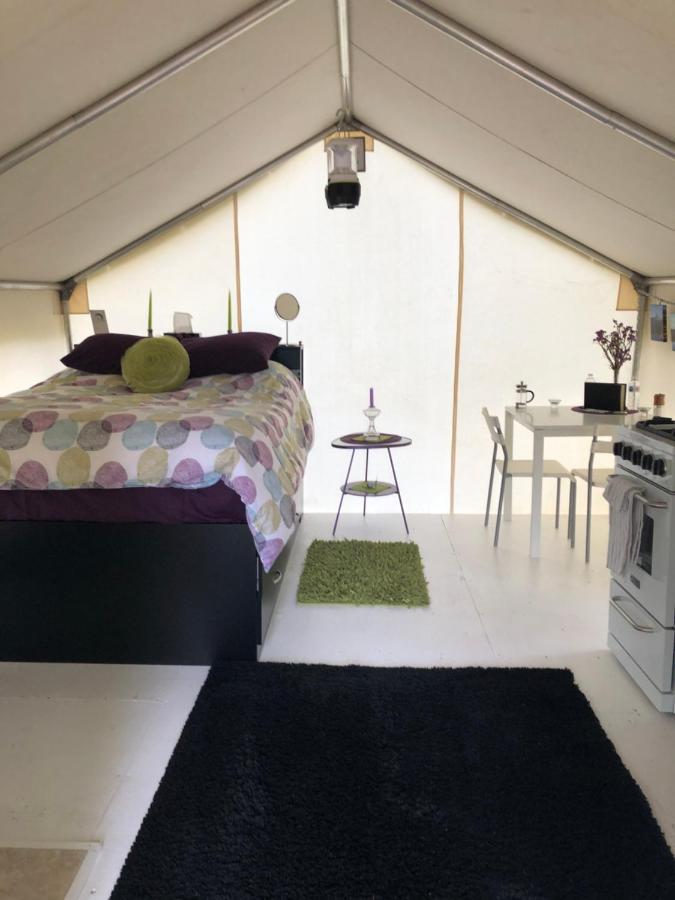 Vines And Puppies Glamping Hideaway Otel Jade City Dış mekan fotoğraf