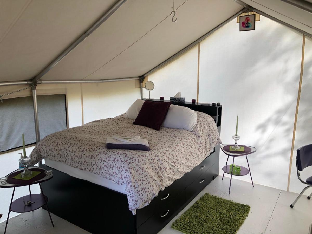 Vines And Puppies Glamping Hideaway Otel Jade City Dış mekan fotoğraf